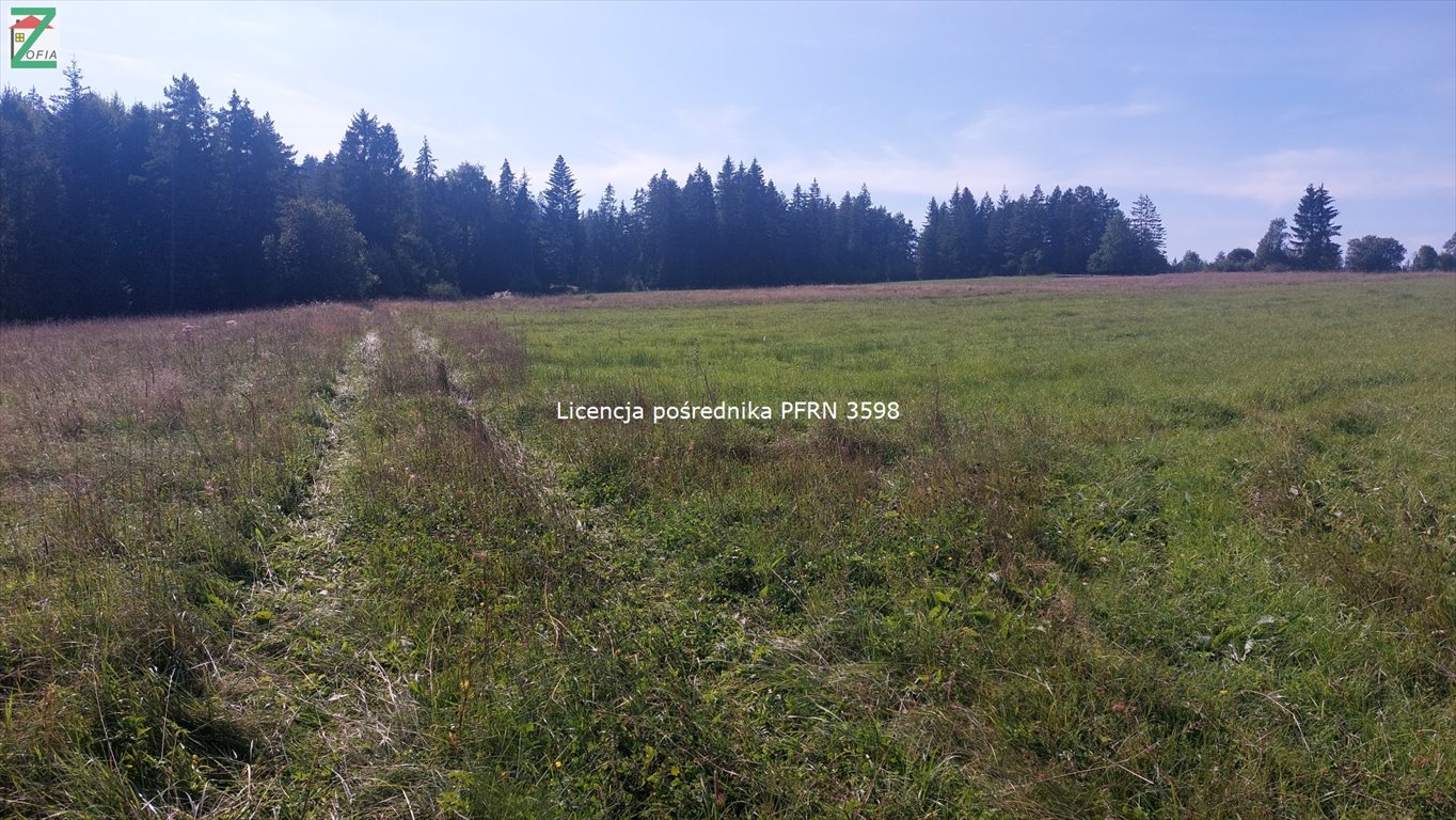 Działka rolna na sprzedaż Lipnica Wielka  2 000m2 Foto 4