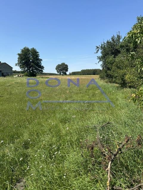 Działka budowlana 2376 m² z WZ, asfalt, media, blisko Łodzi Albertów  2 376m2 Foto 1