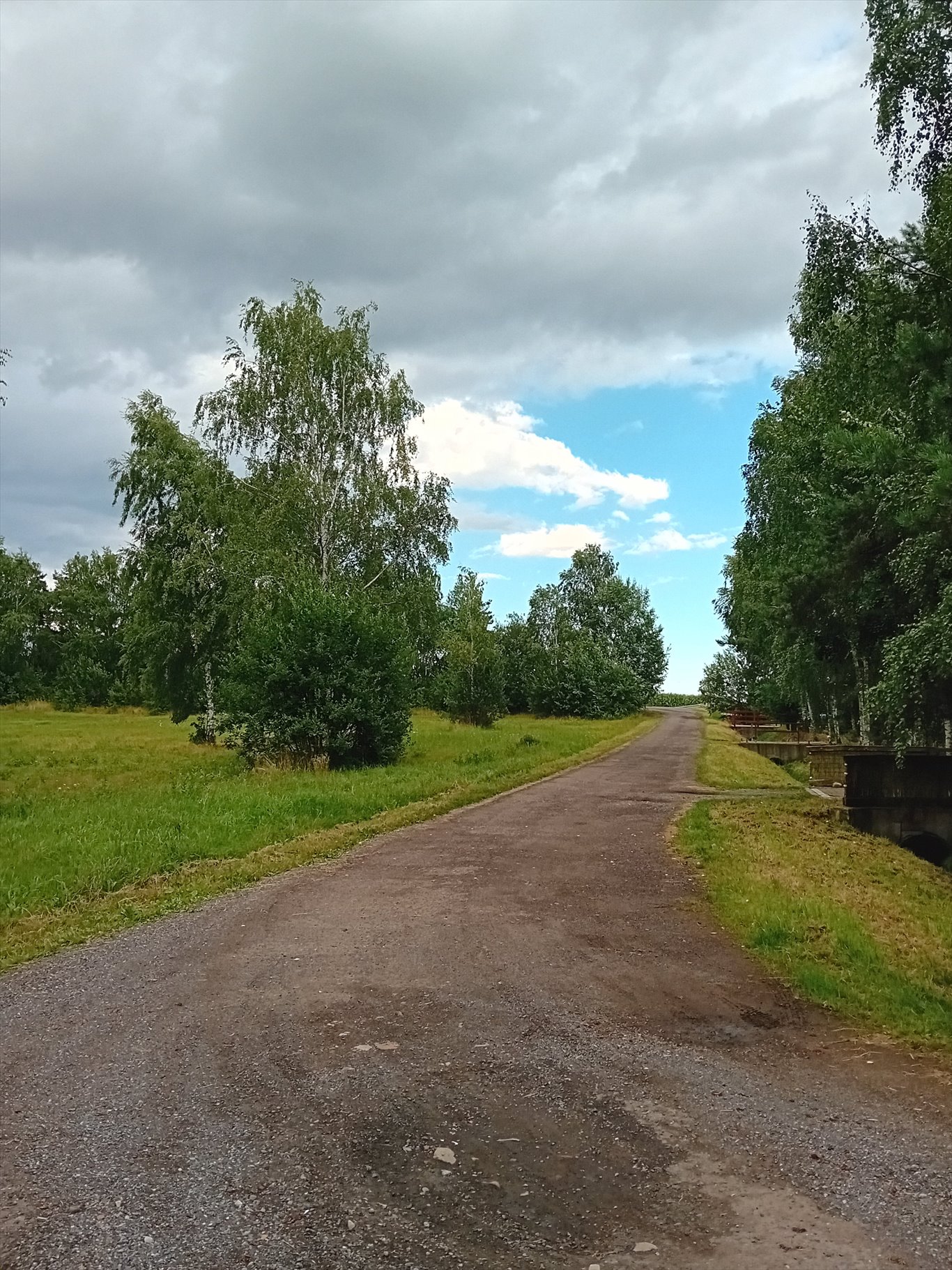 Działka budowlana na sprzedaż Sośnicowice, Choryńskowice, Olchowa  4 600m2 Foto 1