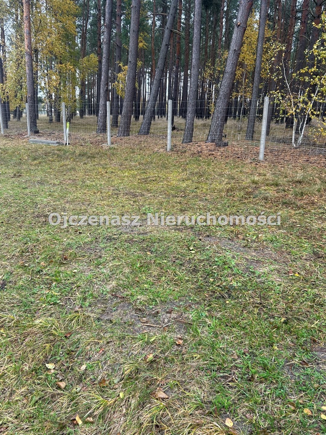 Działka rolna 3521 m² z możliwością zabudowy i usług Kruszyn Krajeński  3 521m2 Foto 1