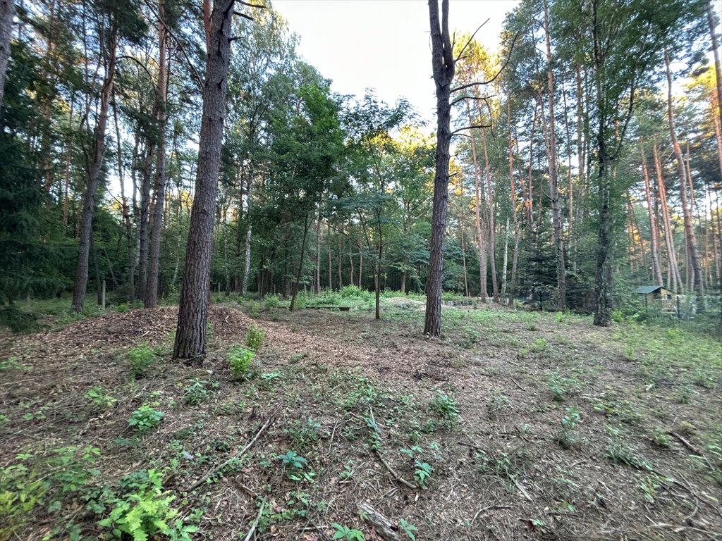 Działka budowlana na sprzedaż Prace Duże  1 800m2 Foto 1