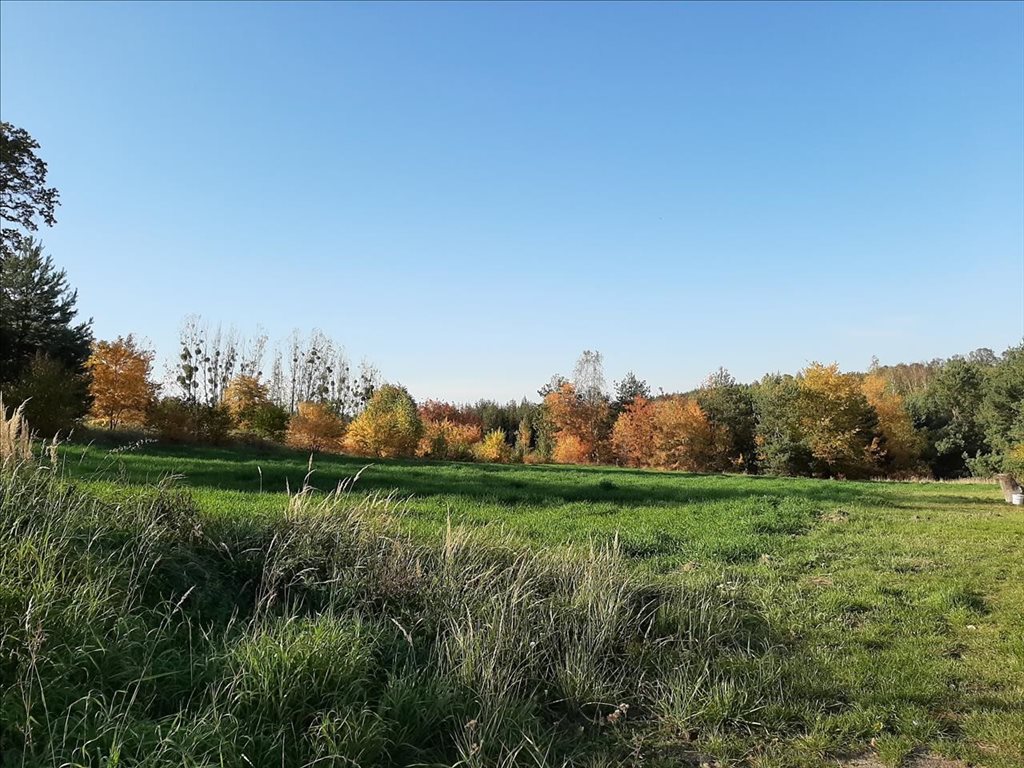 Działka inna na sprzedaż Bagno, Oborniki Śląskie 6 119m2 Foto 1 Działka inna na sprzedaż Bagno, Oborniki Śląskie 6 119m2 Foto 1