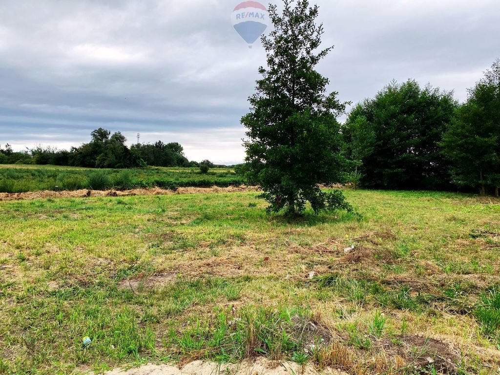 Działka budowlana na sprzedaż Bieniewice, Fiołkowa  1 994m2 Foto 5