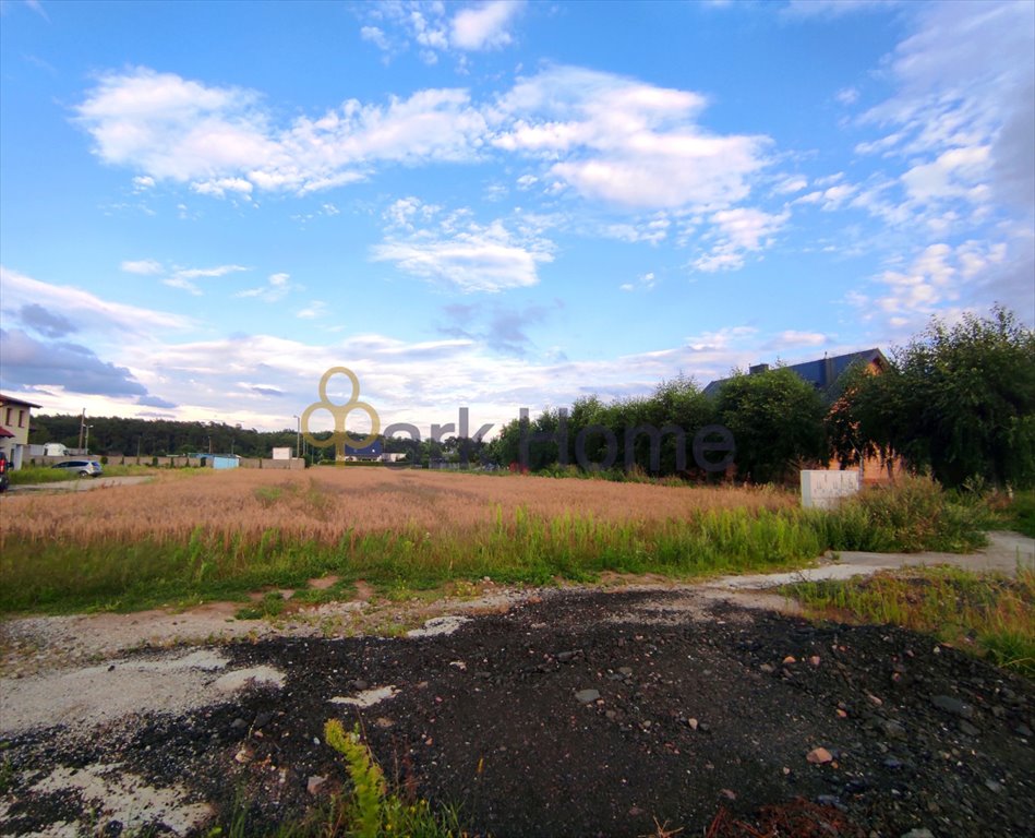 Działka budowlana na sprzedaż Krajewice  4 420m2 Foto 3