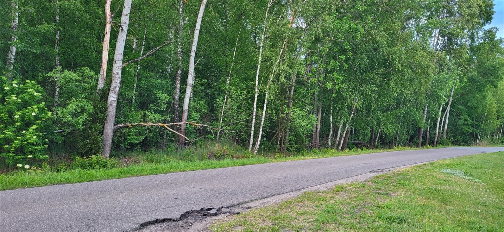 Działka inna na sprzedaż Grabina  7 923m2 Foto 2