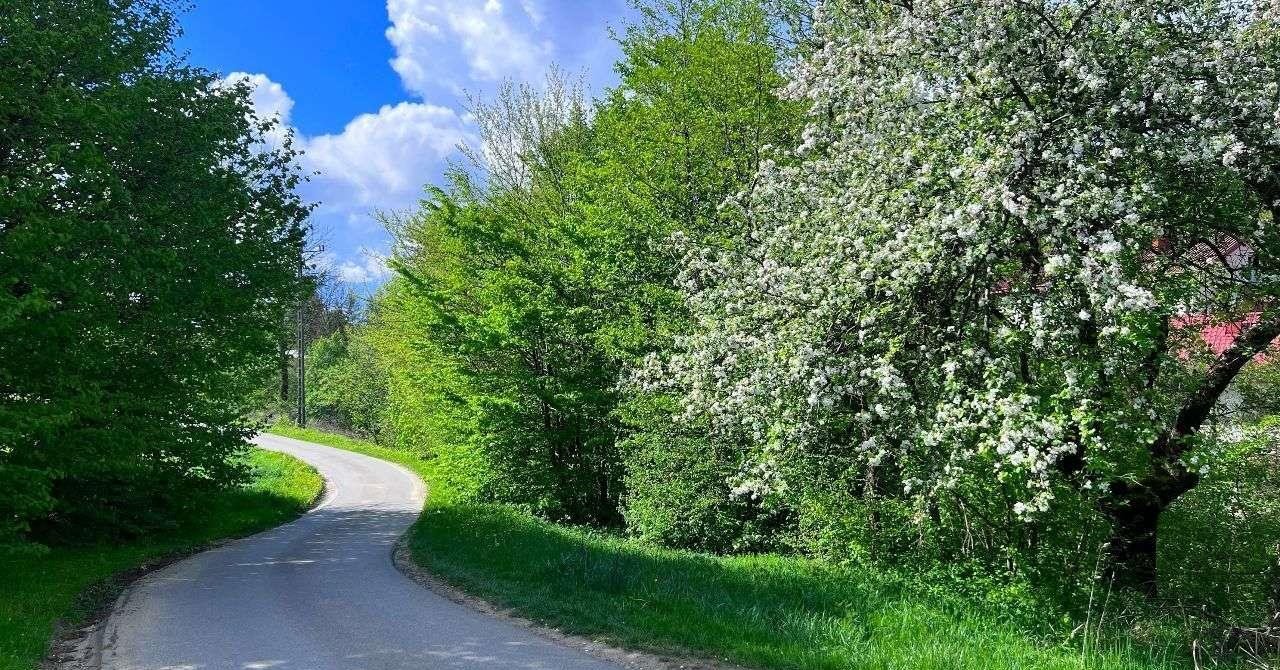 Działka inna na sprzedaż Rogi  800m2 Foto 1