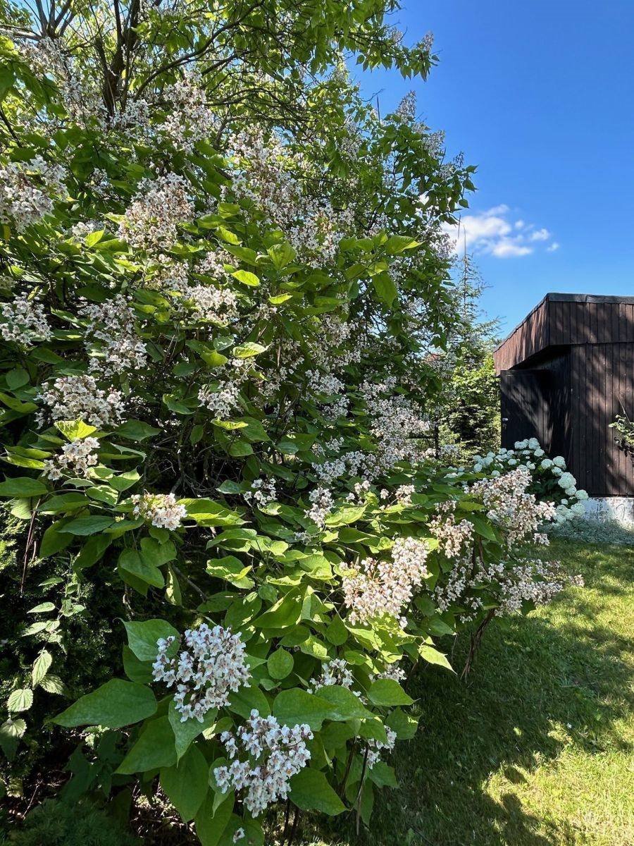 Działka budowlana na sprzedaż Niepruszewo  480m2 Foto 8