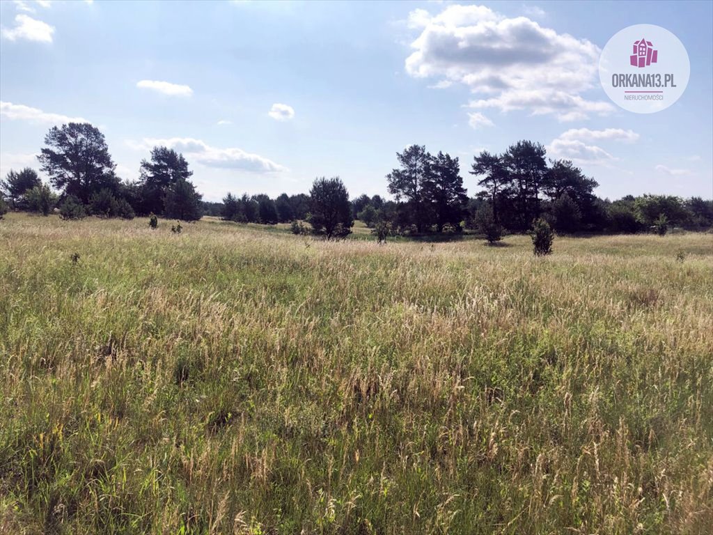 Działka budowlana na sprzedaż Jabłonka, Jabłonka  2 000m2 Foto 4