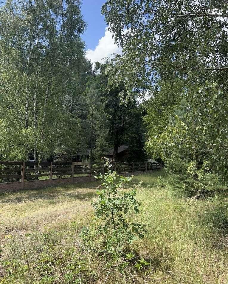 Działka rekreacyjna na sprzedaż Dworszowice Kościelne  780m2 Foto 15