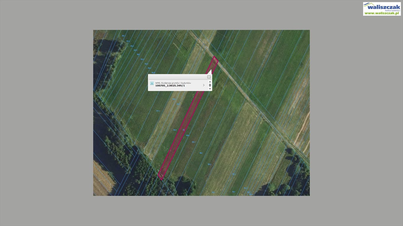 Działka rolna 1200 m2 w Wójcinie - atrakcyjna cena. Wójcin  1 200m2 Foto 1