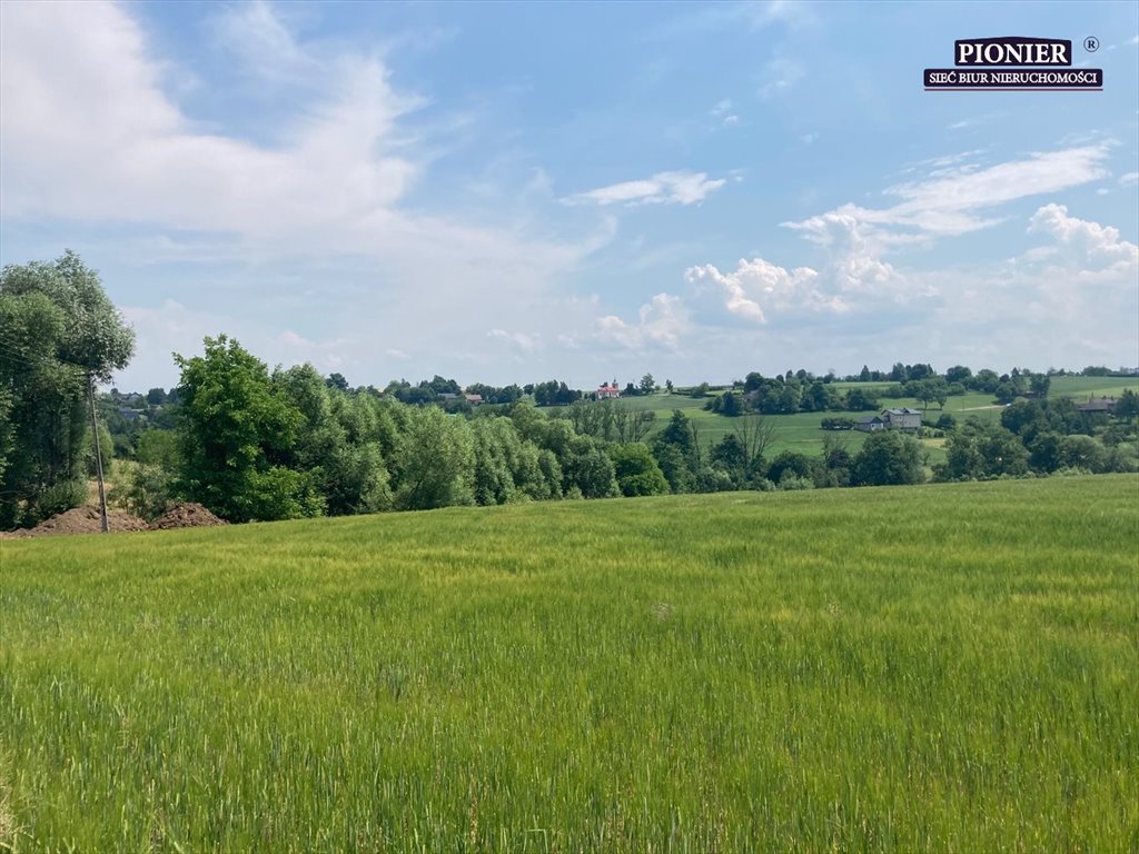 Działka rolna na sprzedaż Zamarski  70 000m2 Foto 5