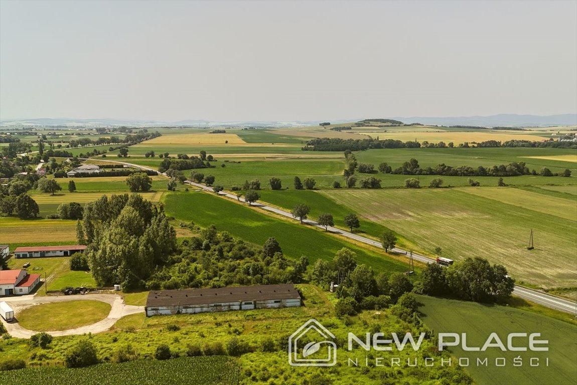 Działka przemysłowo-handlowa na sprzedaż Jordanów Śląski  22 800m2 Foto 10