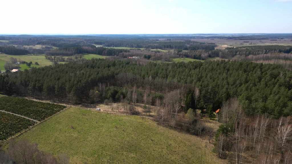 Działka budowlana na sprzedaż Miłogórze  3 000m2 Foto 7