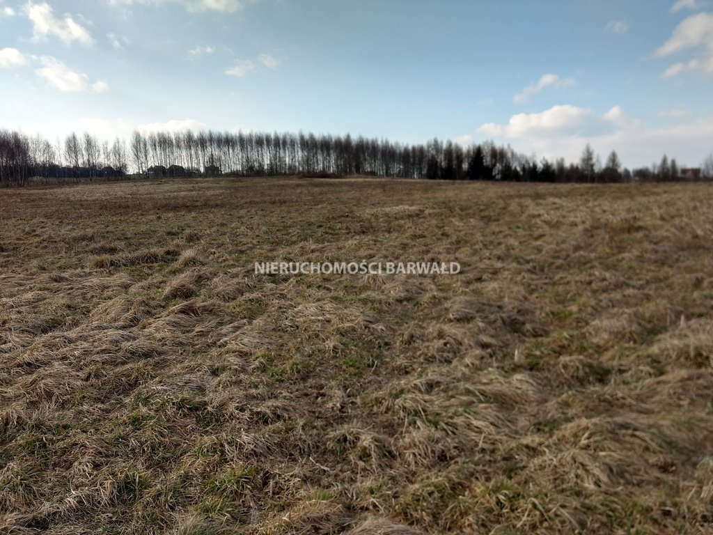 Działka rolna na sprzedaż Podolany  32 800m2 Foto 2