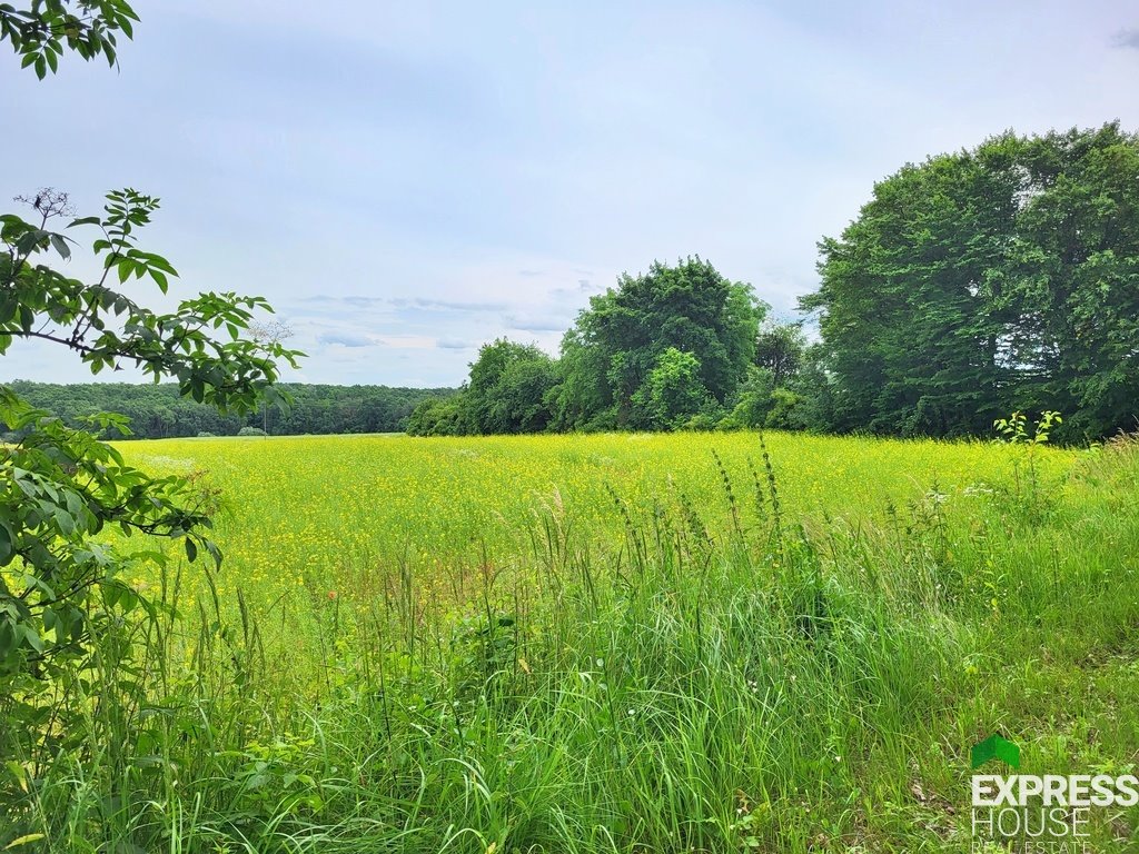 Działka siedliskowa na sprzedaż Pawłów  1 147m2 Foto 3