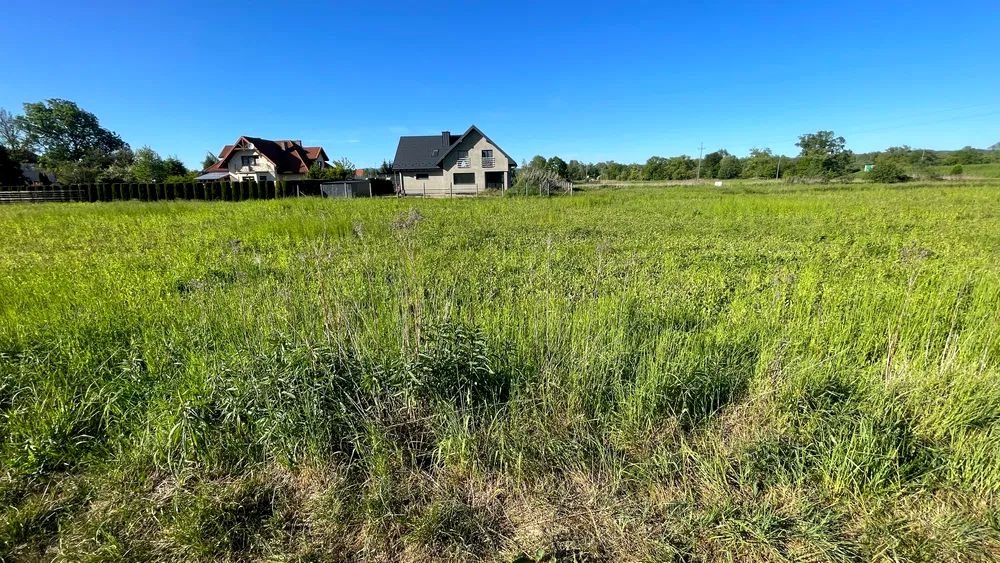 Działka budowlana na sprzedaż Chełmiec  1 100m2 Foto 3