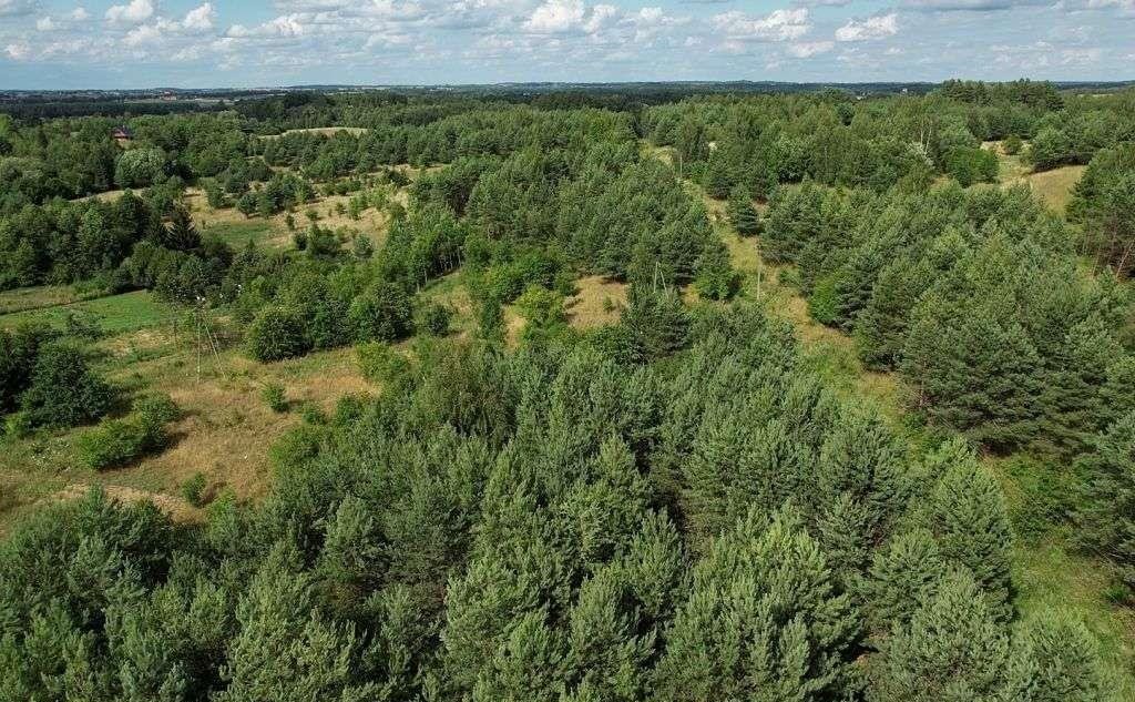 Działka budowlana na sprzedaż Cierzpięty  1 002m2 Foto 11