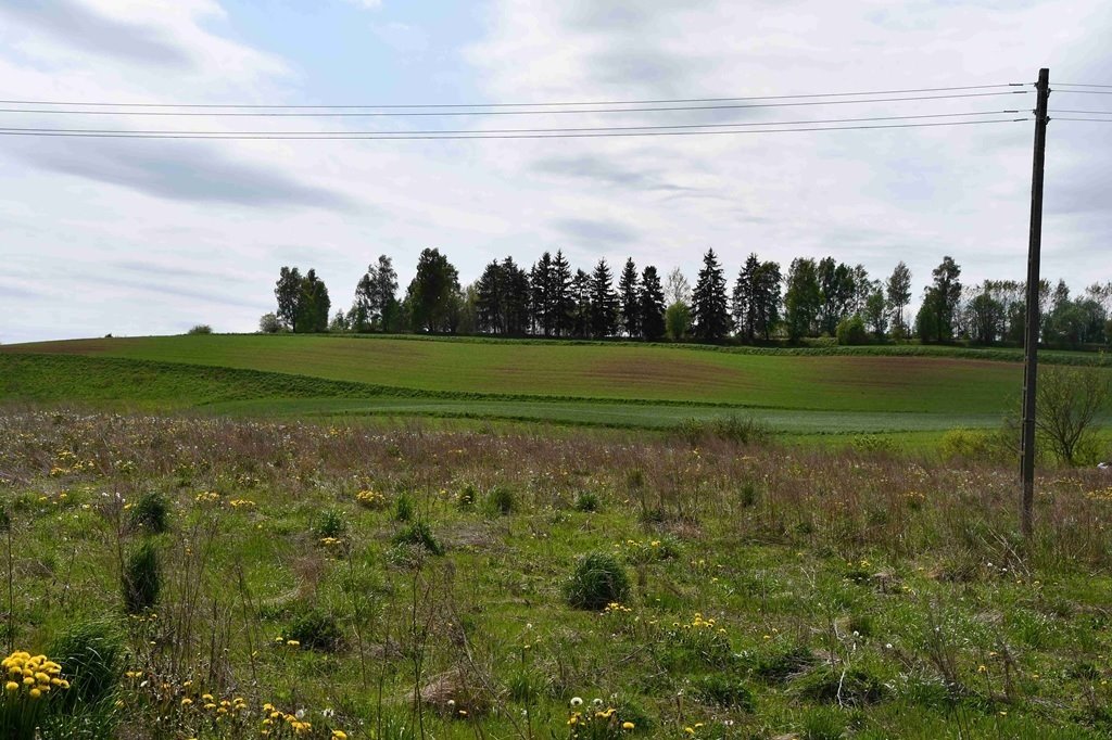 Działka 1837 m² w Iłownicy (przetarg, zabudowa jednorodzinna) Iłownica  1 837m2 Foto 1