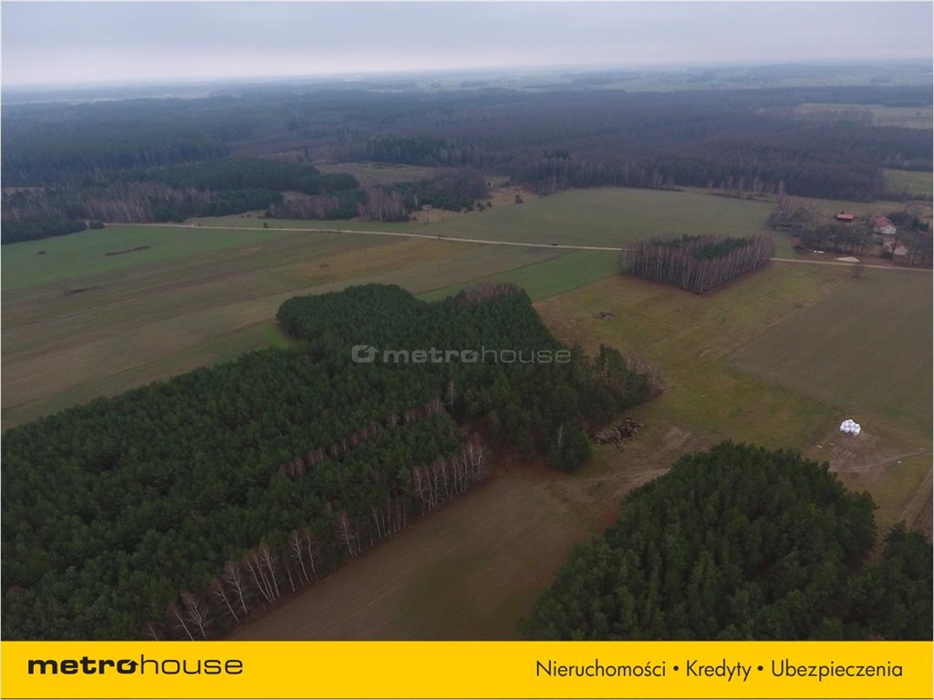 Działka rolna na sprzedaż Nowa Wieś k. Duczymina, Chorzele  52 557m2 Foto 7