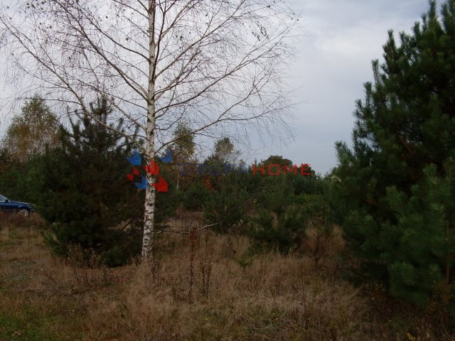 Działka budowlana na sprzedaż Łoś 1 000m2 Foto 1 Działka budowlana na sprzedaż Łoś 1 000m2 Foto 1