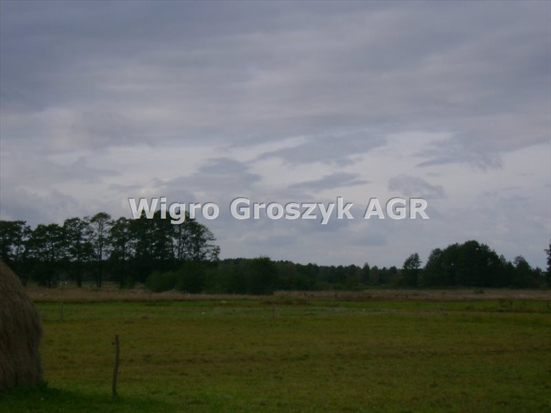 Działka rolna na sprzedaż Brzozówka  25 500m2 Foto 5