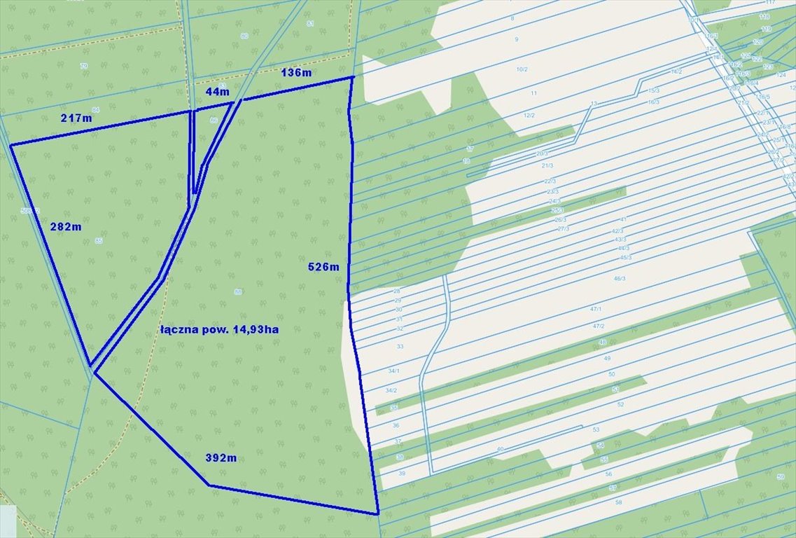 Działka leśna na sprzedaż Paulinów  149 300m2 Foto 9