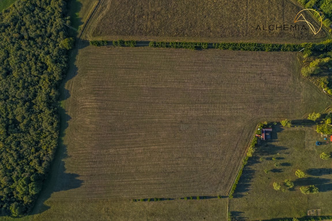 Działka budowlana na sprzedaż Zawady Ełckie  3 001m2 Foto 6