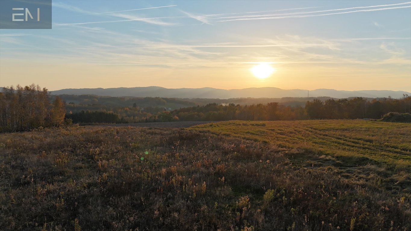 Działka budowlana na sprzedaż Gbiska  4 600m2 Foto 1