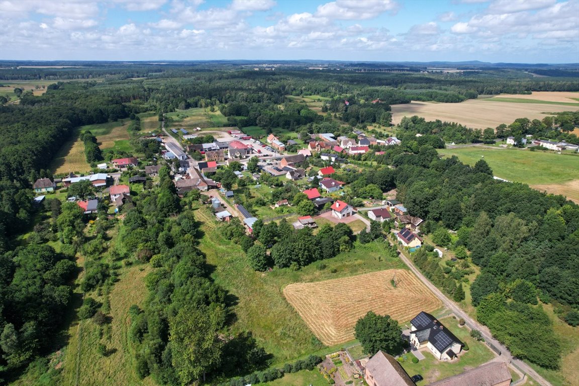 Działka inna na sprzedaż Wielka Wieś  4 000m2 Foto 5