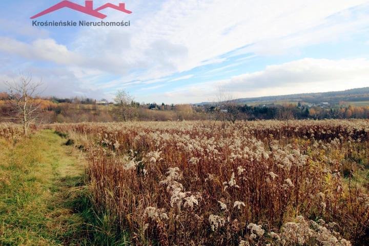 Działka rolna na sprzedaż Kopytowa  1 500m2 Foto 1