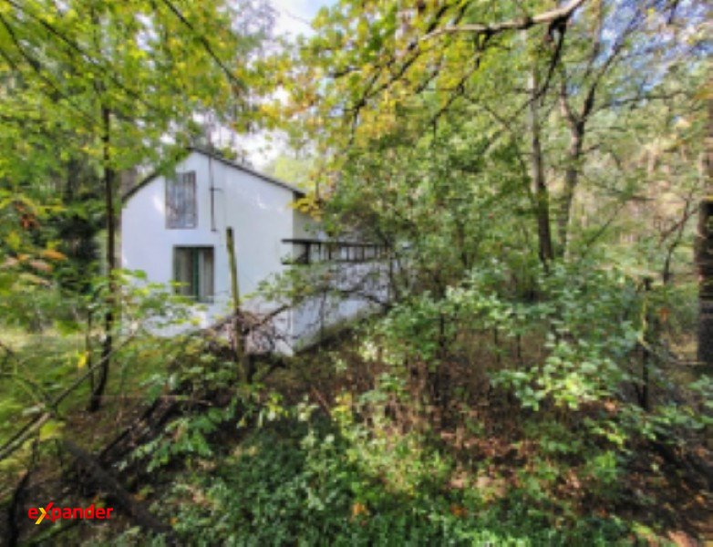 Działka 33 000 m² z siedliskiem i lasami - blisko Warszawy Leontynów  33 000m2 Foto 1