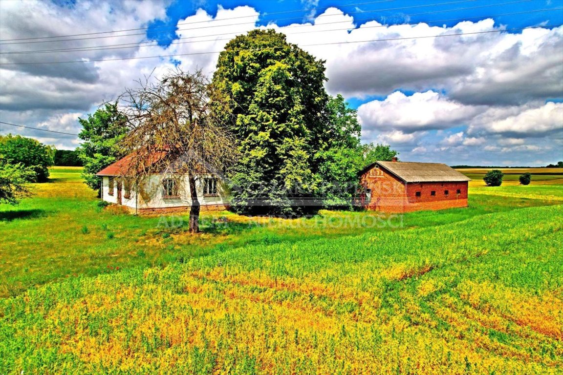 Lokal użytkowy na sprzedaż Józwów, Józwów  80m2 Foto 10