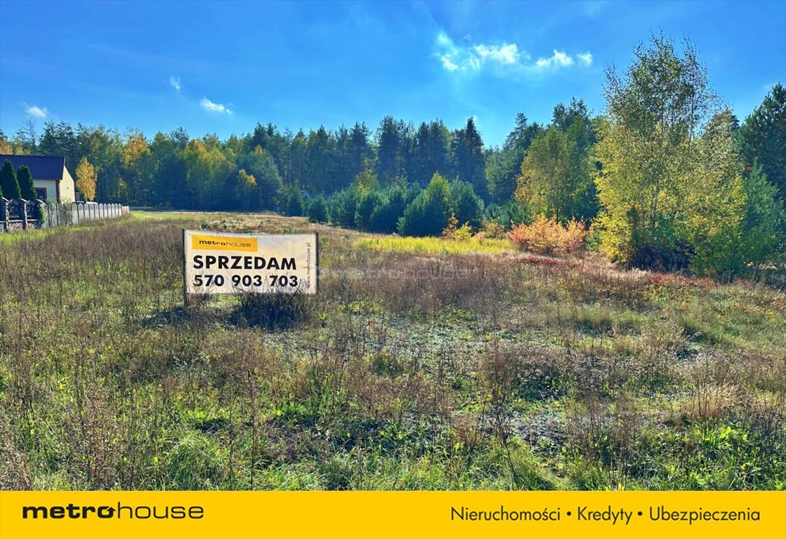 Działka siedliskowa na sprzedaż Durlasy  3 900m2 Foto 9