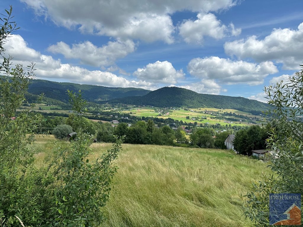 Działka budowlana na sprzedaż Pisarzowa  7 200m2 Foto 1