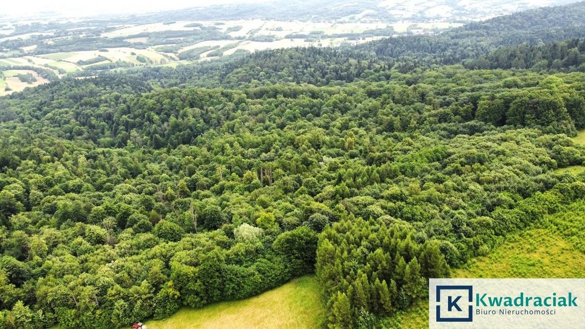 Działka leśna na sprzedaż Stary Żmigród  96 100m2 Foto 3