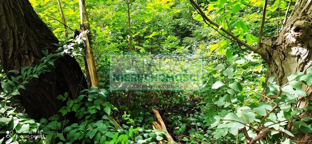 Polecam dużą działkę 4900 m² pod dom w Kozery Nowe Grodzisk Mazowiecki  4 900m2 Foto 1