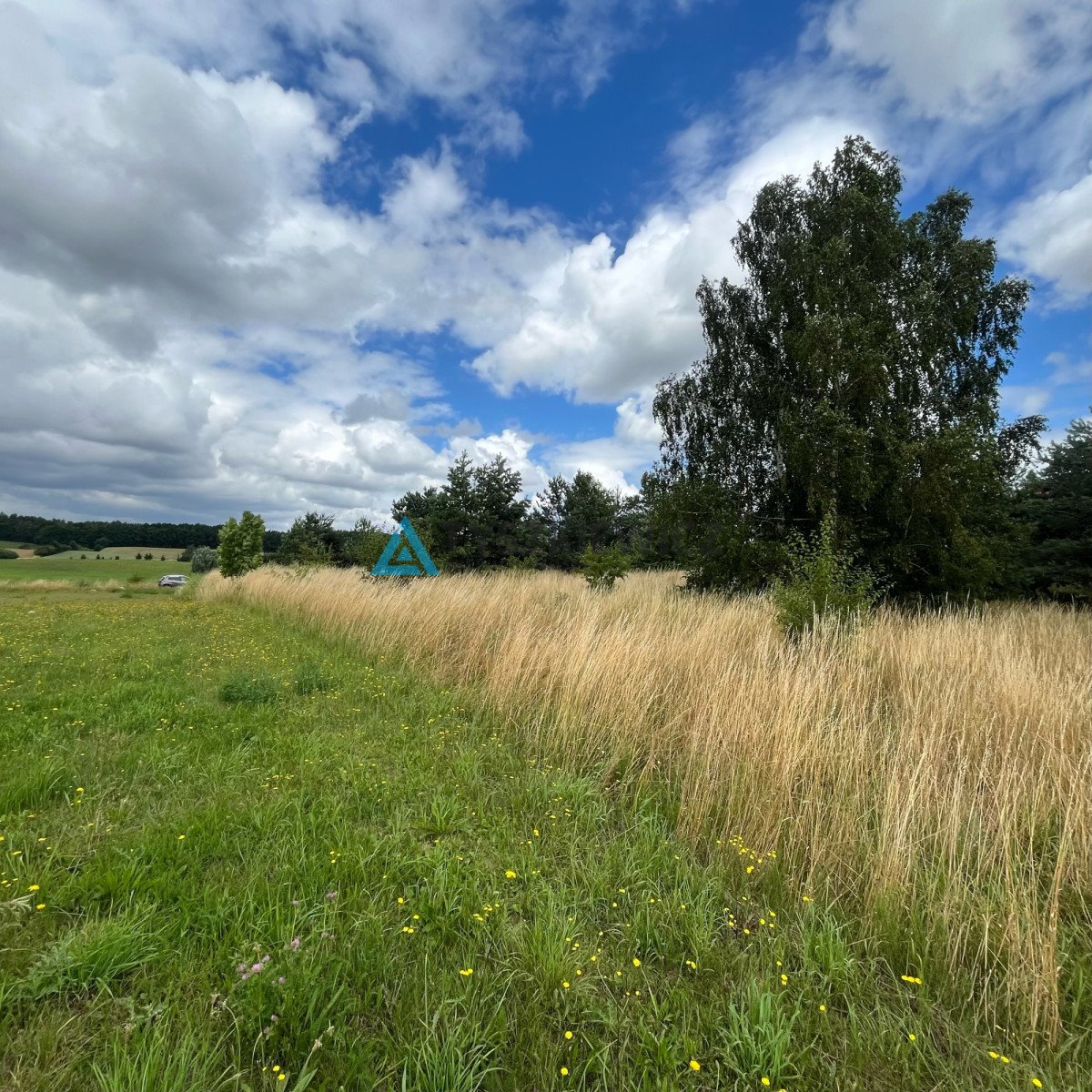 Działka budowlana na sprzedaż Trąbki Małe  3 050m2 Foto 3