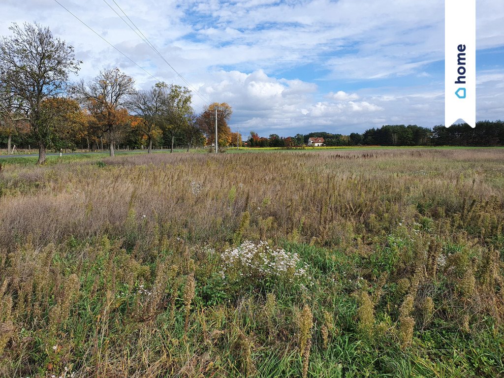Działka inwestycyjna pod sklep lub motel przy drodze nr 12 Wilków, Jarzębinowa  3 820m2 Foto 1