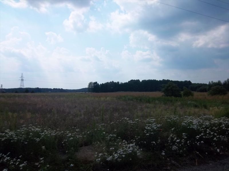 Działka budowlana na sprzedaż Radnica  15 063m2 Foto 1