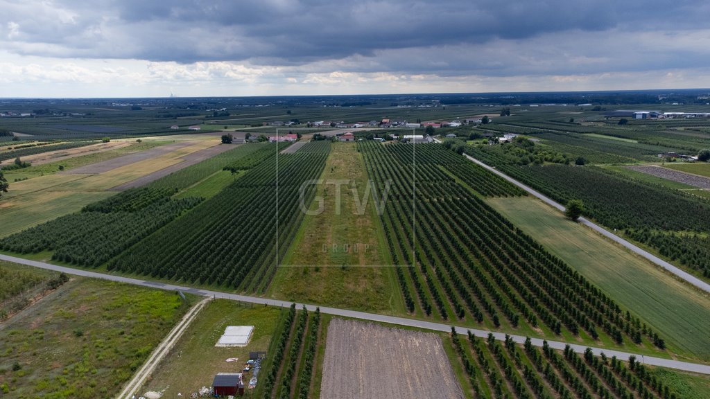 Działka budowlana na sprzedaż Martynów  1 499m2 Foto 4