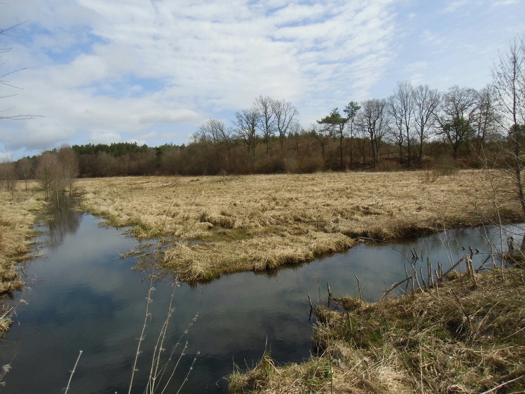 Działka rolna na sprzedaż Tawęcino  136 800m2 Foto 7