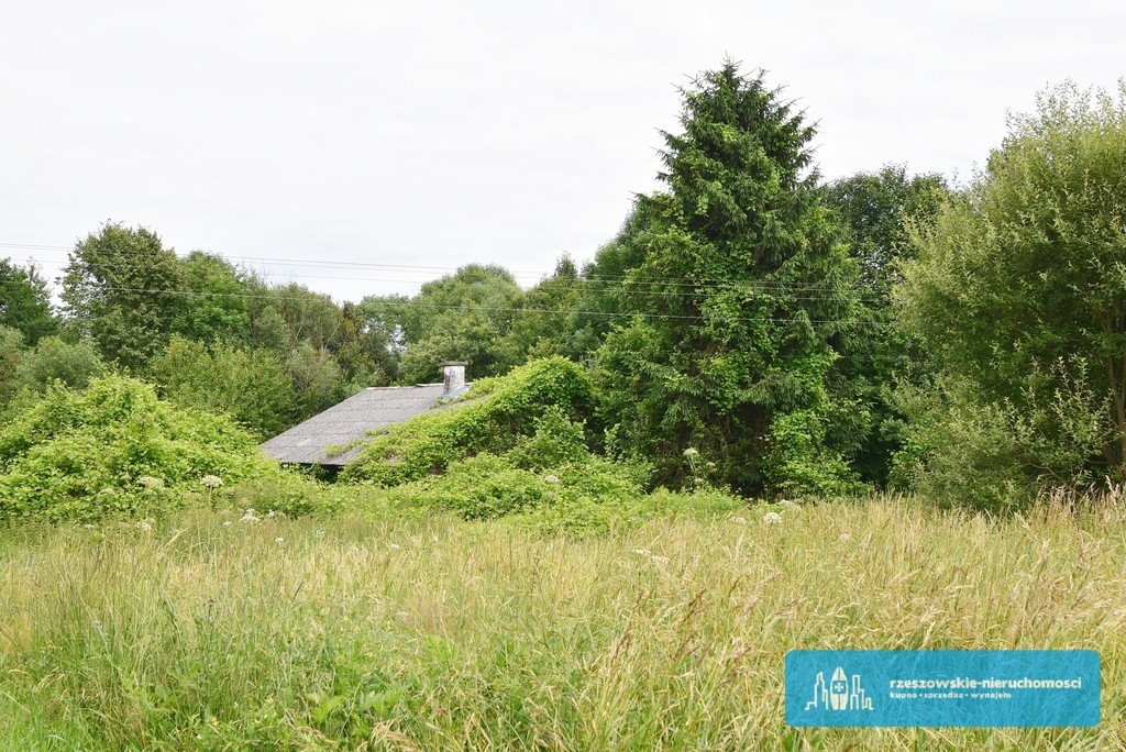 Działka budowlana na sprzedaż Stara Wieś  4 629m2 Foto 4