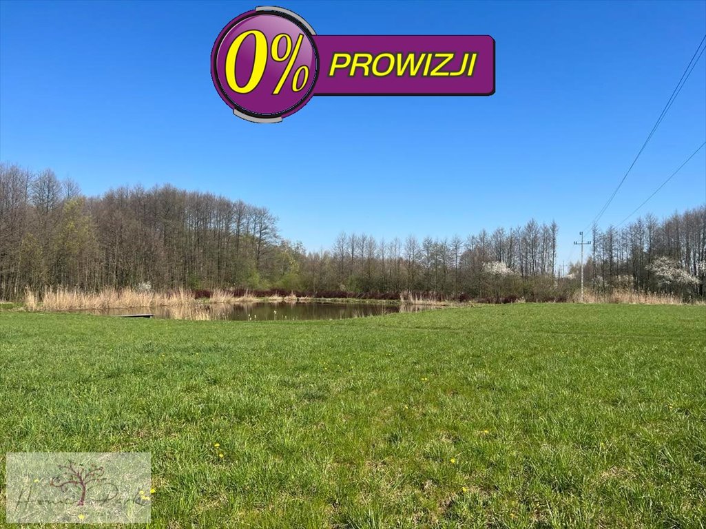 Działka budowlana na sprzedaż Tuszyn, Tuszynek Majoracki  10 121m2 Foto 8