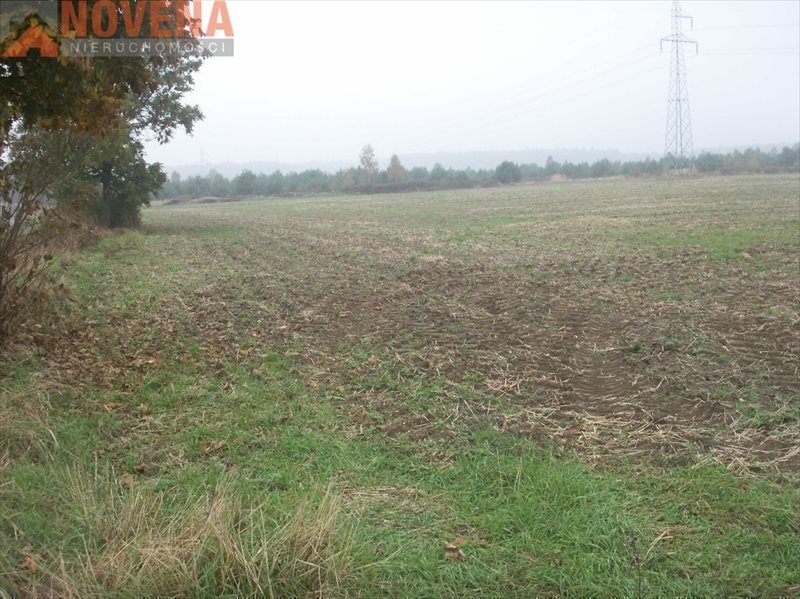 Działka rolna na sprzedaż Radecz, Radecz 10 000m2 Foto 1 Działka rolna na sprzedaż Radecz, Radecz 10 000m2 Foto 1