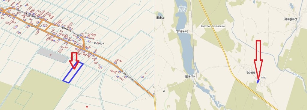 Działka rolna na sprzedaż Brzezie  5 100m2 Foto 1