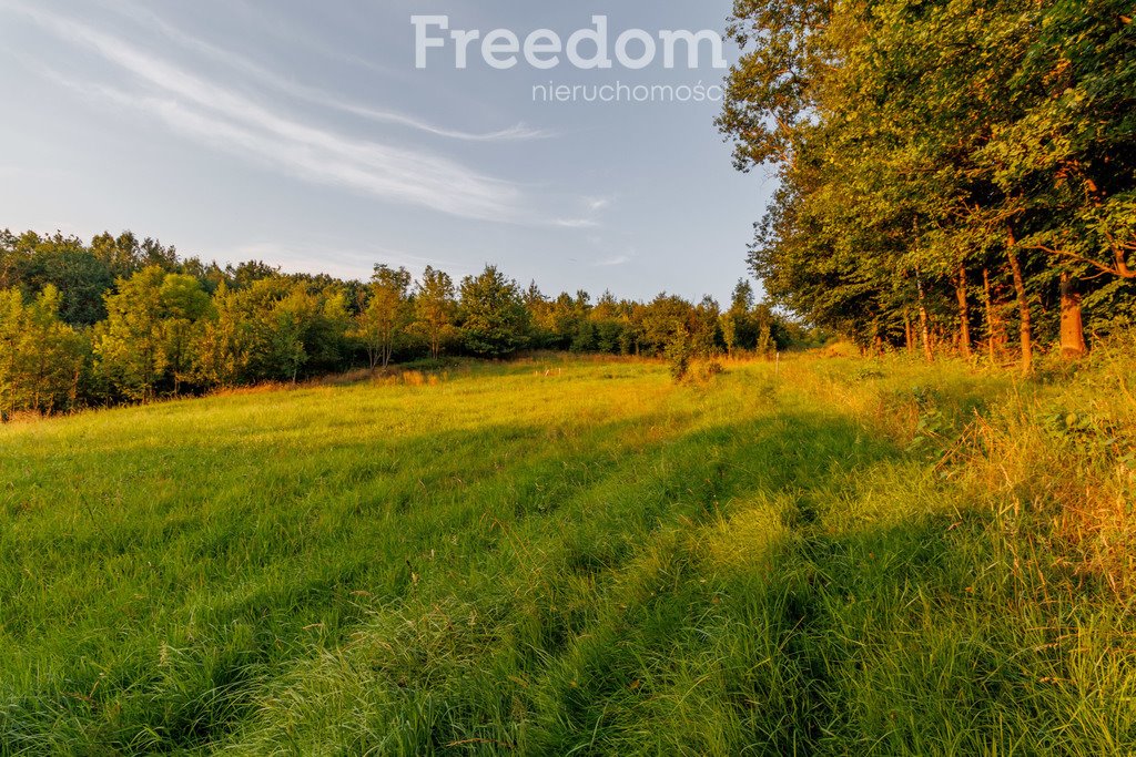 Działka budowlana na sprzedaż Zabłędza  9 218m2 Foto 7