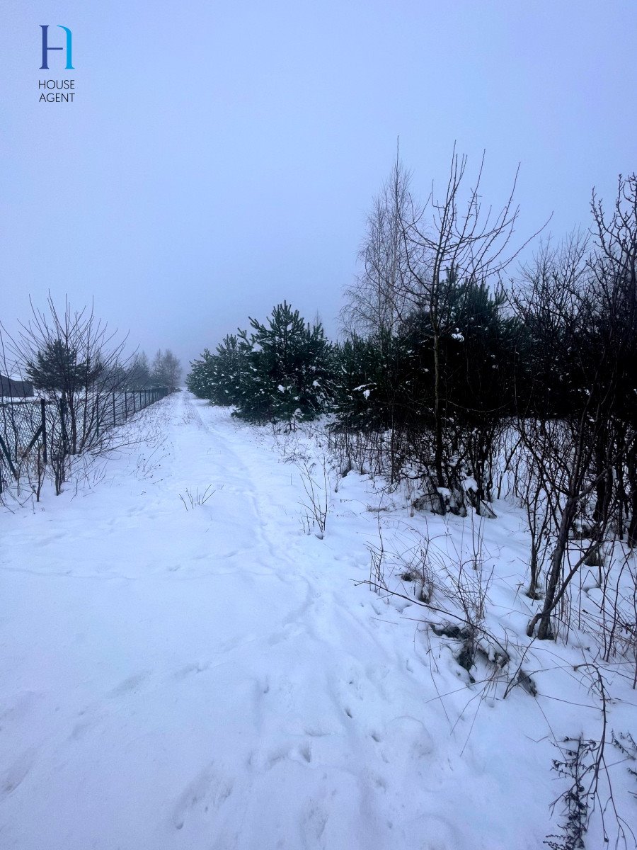 Działka rolna na sprzedaż Janów  6 000m2 Foto 9