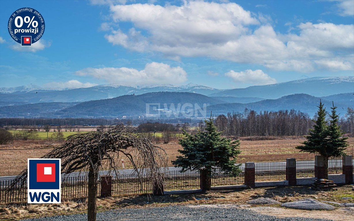 Lokal użytkowy na sprzedaż Wojcieszyce, Wojcieszyce  1 567m2 Foto 12