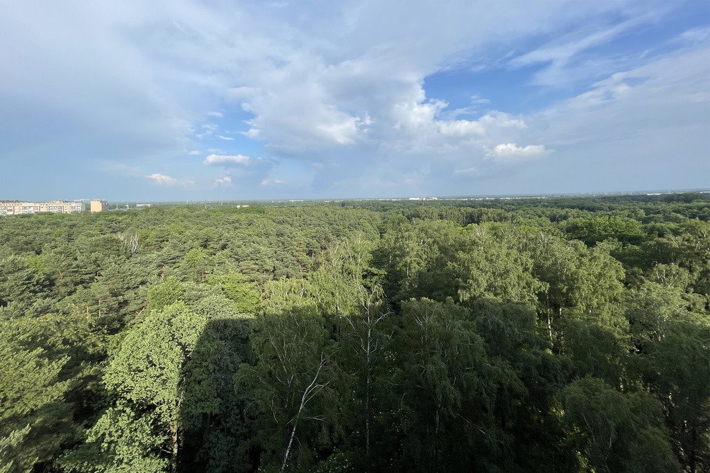 Mieszkanie trzypokojowe na sprzedaż Łódź, Widzew, Piotra Czajkowskiego  60m2 Foto 6