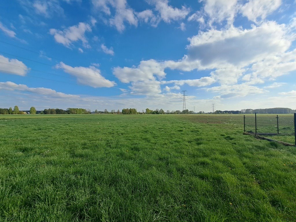 Działka budowlana na sprzedaż Chrzczanka-Folwark  9 432m2 Foto 8